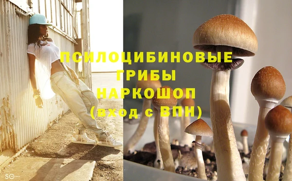 spice Абдулино